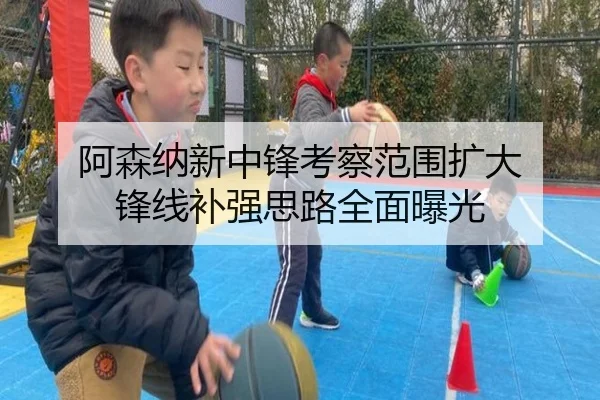 阿森纳新中锋考察范围扩大 锋线补强思路全面曝光